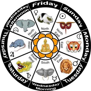 myanmar animal