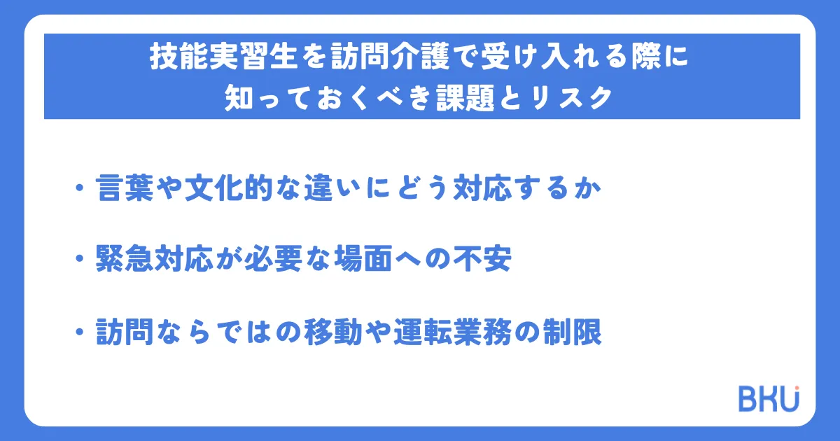 技能実習生を訪問介護で受け入れる際に知っておくべき課題とリスク